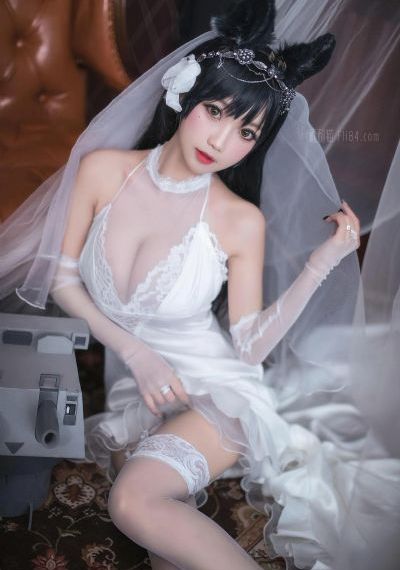 测网速